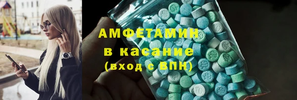 индика Арсеньев
