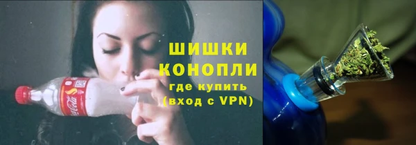 индика Арсеньев