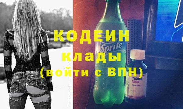 индика Арсеньев