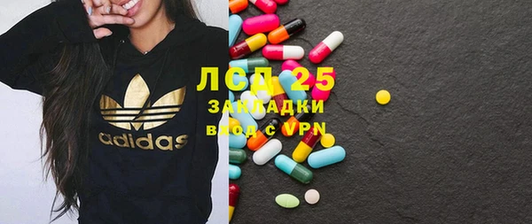 индика Арсеньев