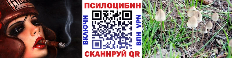 Псилоцибиновые грибы Cubensis  наркота  Теберда 